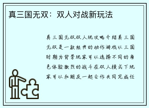 真三国无双：双人对战新玩法