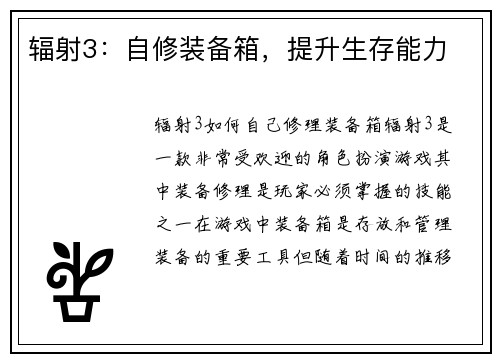 辐射3：自修装备箱，提升生存能力